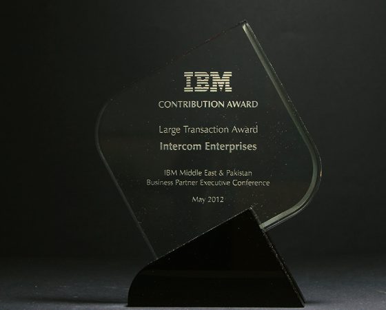 IBM: Contribution Award 2012