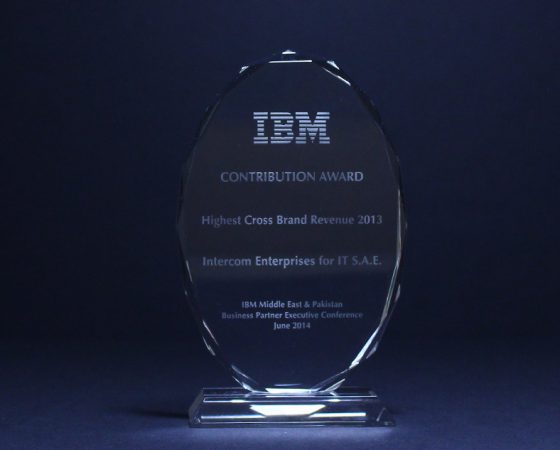 IBM : Contribution Award