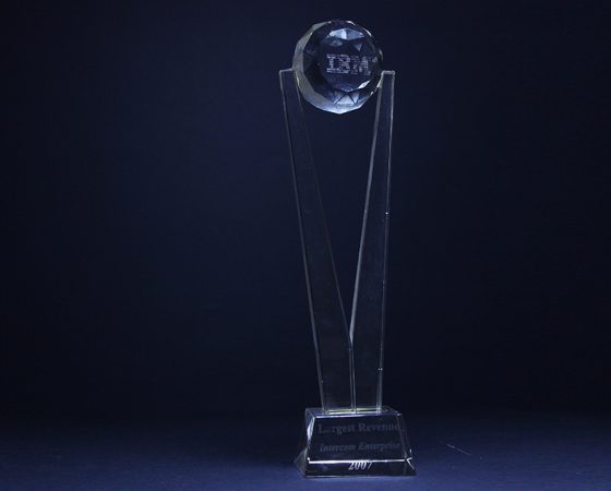 IBM: Largest Revenue 2007