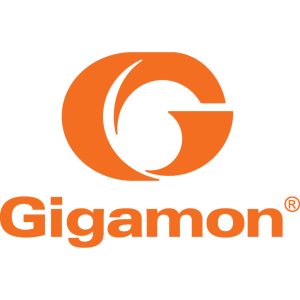 Gigamon
